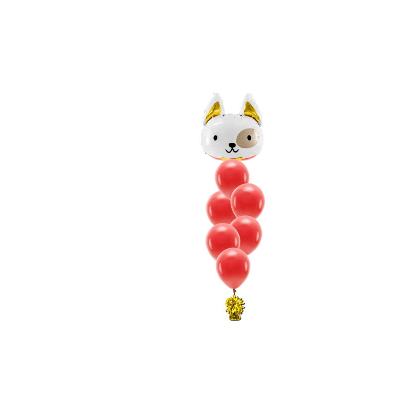 Ballon-Bouquet Jungs costumize