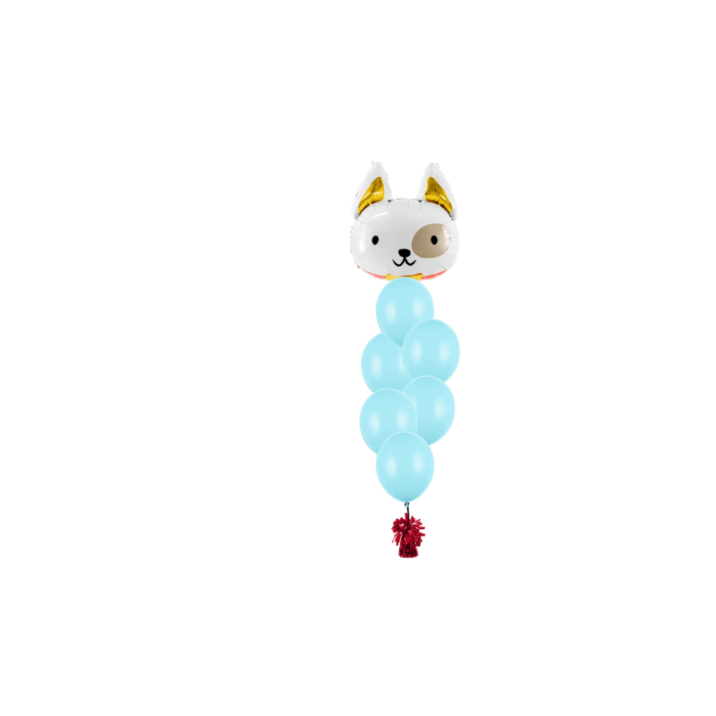 Ballon-Bouquet Jungs costumize