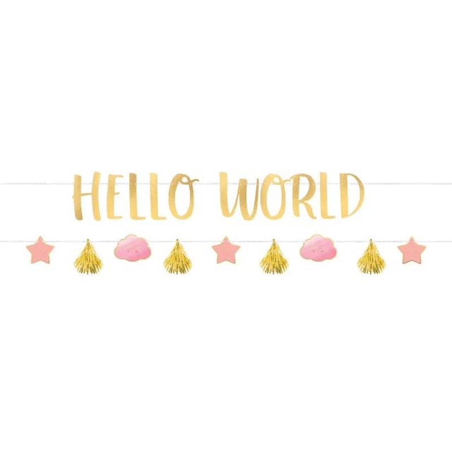 Oh Baby Girl Banner - Boy or Girl