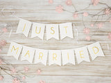 Banner Just married 1.55m, Pastell Mix (1 Stk.)