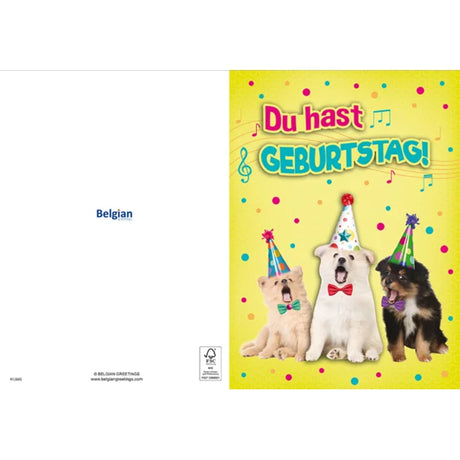 Maxikarte A4 Format - Du hast Geburtstag